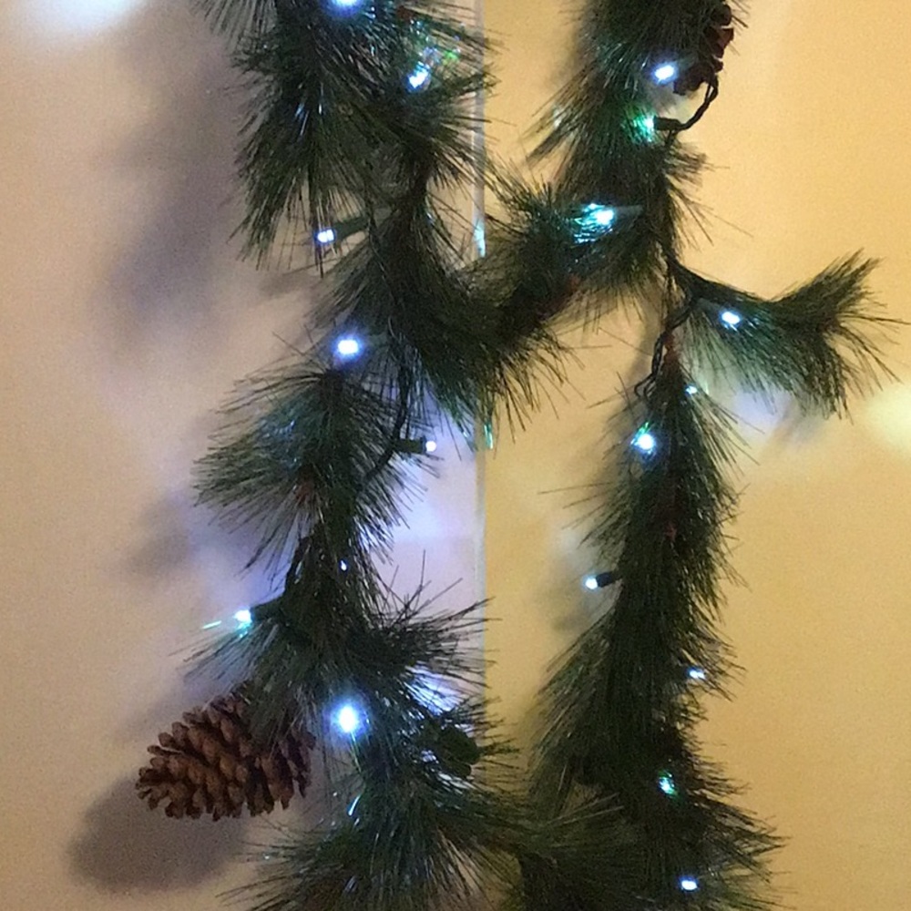 10 feet of lighted pine garland